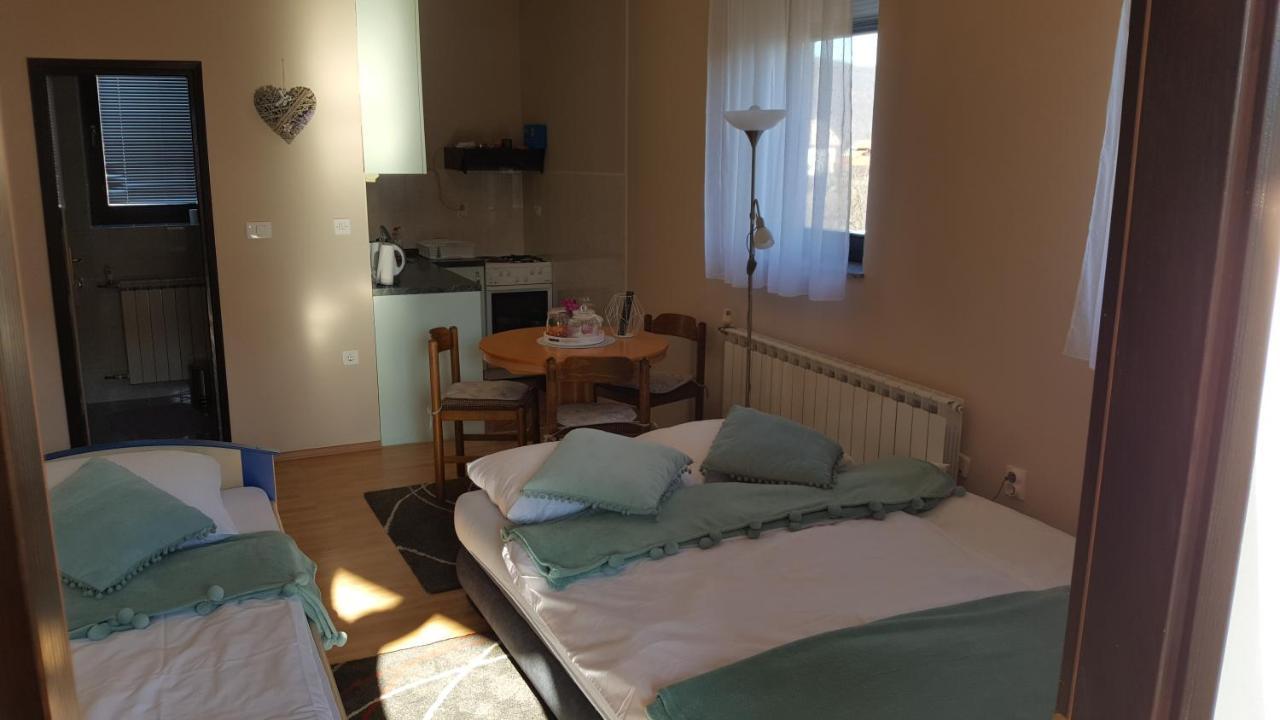 Studio apartman Salopek Ogulin Esterno foto