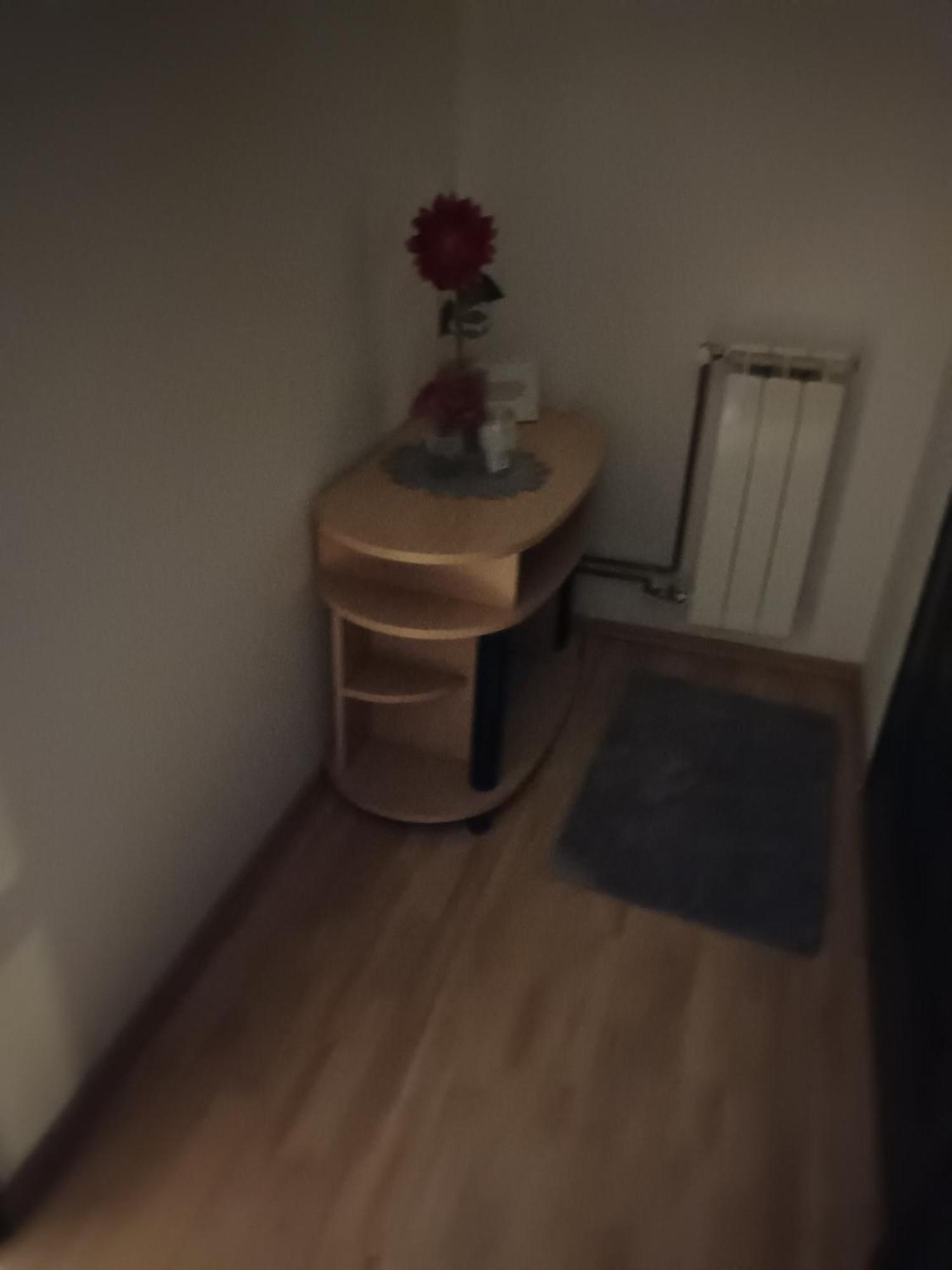Studio apartman Salopek Ogulin Esterno foto
