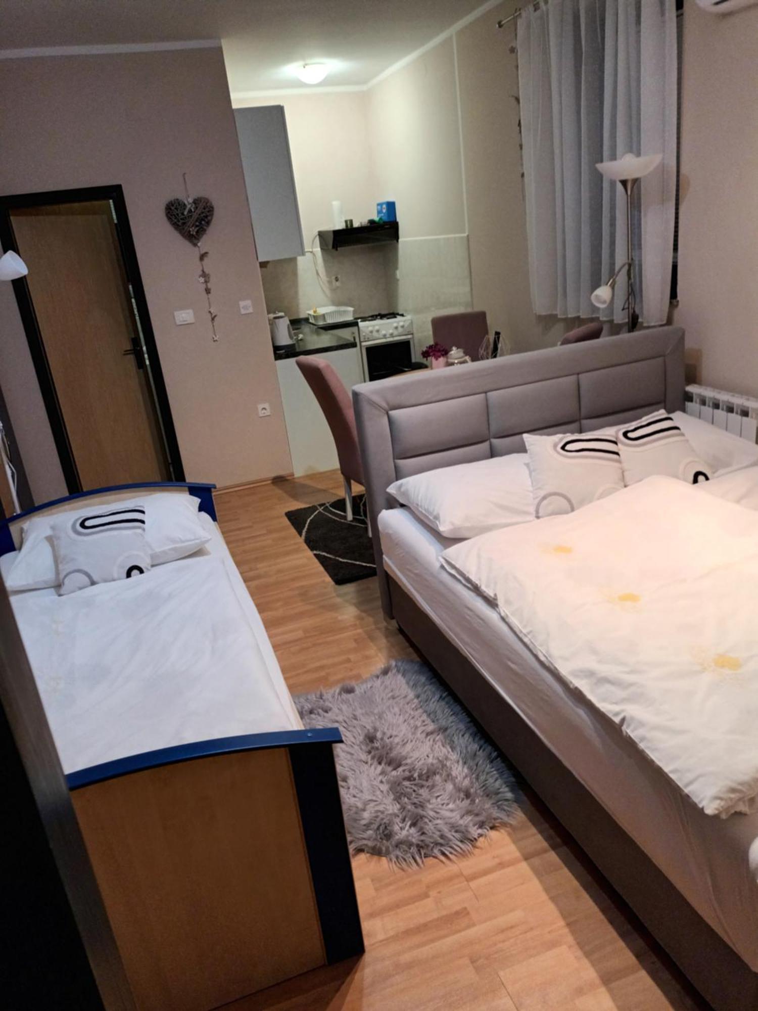 Studio apartman Salopek Ogulin Esterno foto